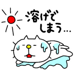Michinoku Cat SUMMER 2