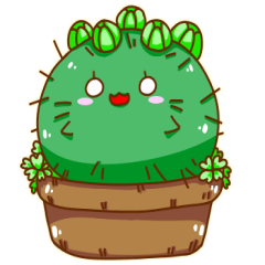 Rain god house cactus