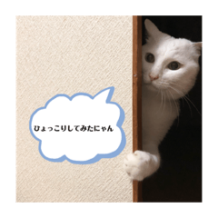 kurumi_20190424134933