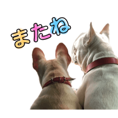 chi_20190424163232
