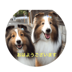 kazue_20190424155659