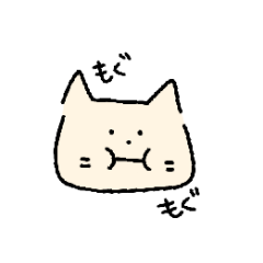 cream colored cat