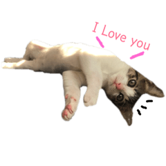 kimi與Lami 小日常