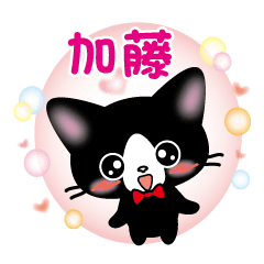 Kato Name Sticker B and W Cat version