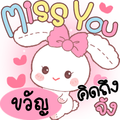 Kwan Cute Rabbit