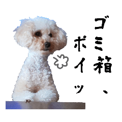 poodle's Grumbles ver.2 (japanese)