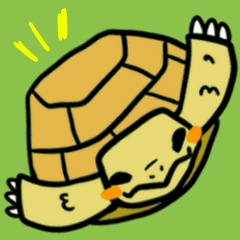 funny tortoise sticker