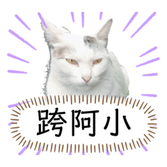 安安你好這是我