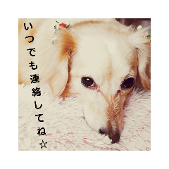 miyuki_20190425074946