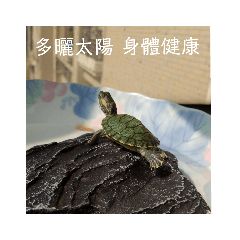 Ivy Chen_20190427182348