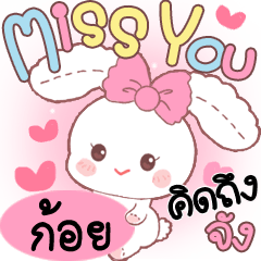 Koy Cute Rabbit