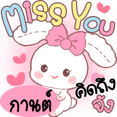 Karn Cute Rabbit