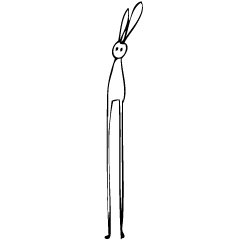 long legged rabbits