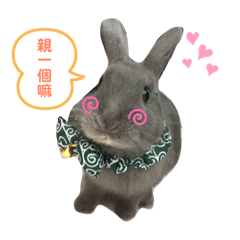 我是阿肥，只會吃和睡。