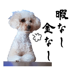 poodle's Grumbles ver.1 (japanese)