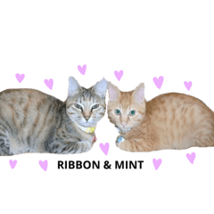 mizuki_20190425182213