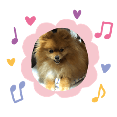 Pomeranian no mocochan Spring stamps