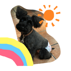 mia_20190426152046