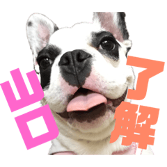 saori_20190426170307