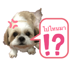 Bambie_Girl