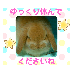 moko_20190426130734