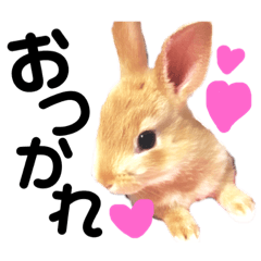 sumire_20190426203927