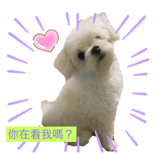 跳跳兒