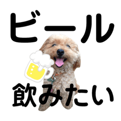 risa_20190427002717