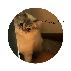 yukko_20190427001037