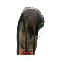 rie_20190427004824