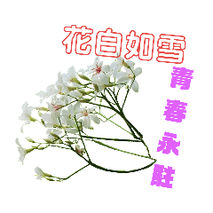 花花世界篇