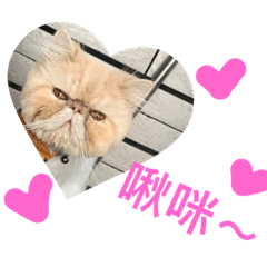 阿咪星球