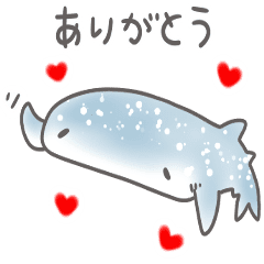 シンプル サメ 日常会話 敬語 Line スタンプ Line Store シンプル サメ 日常会話 敬語 Line スタンプ Line Store