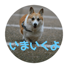 midori_20190427120140