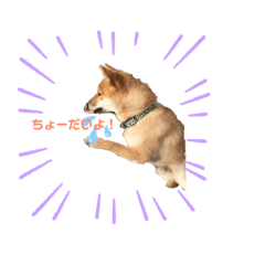 ryuasobi