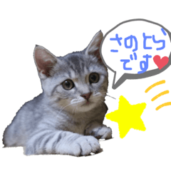 mori_20190427161454