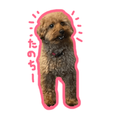 お犬さまのめっちゃん Line スタンプ Line Store