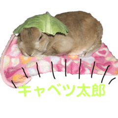 una_20190427163922