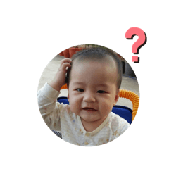 睿表情包