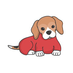 beagle Jeeja