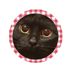 The sticker of the brack cat Chimaki