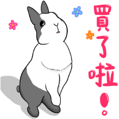 Rabbit-Mimi