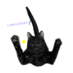 Domon's cat vol. 1