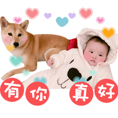 柴柴coffee & 小圓仔