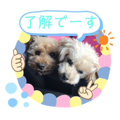 kaoru_20190427194316