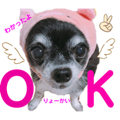 chiro_20190427232032