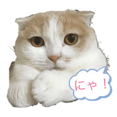 saya_20190428142450