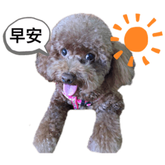 LULU公主