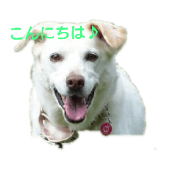 JUNKO_20190428144928