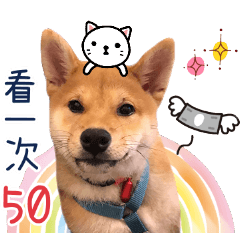 小滴の日常